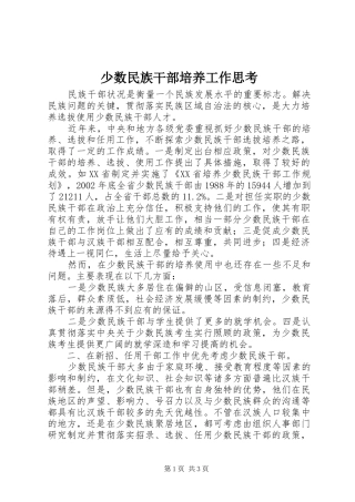 2024年少数民族干部培养工作思考