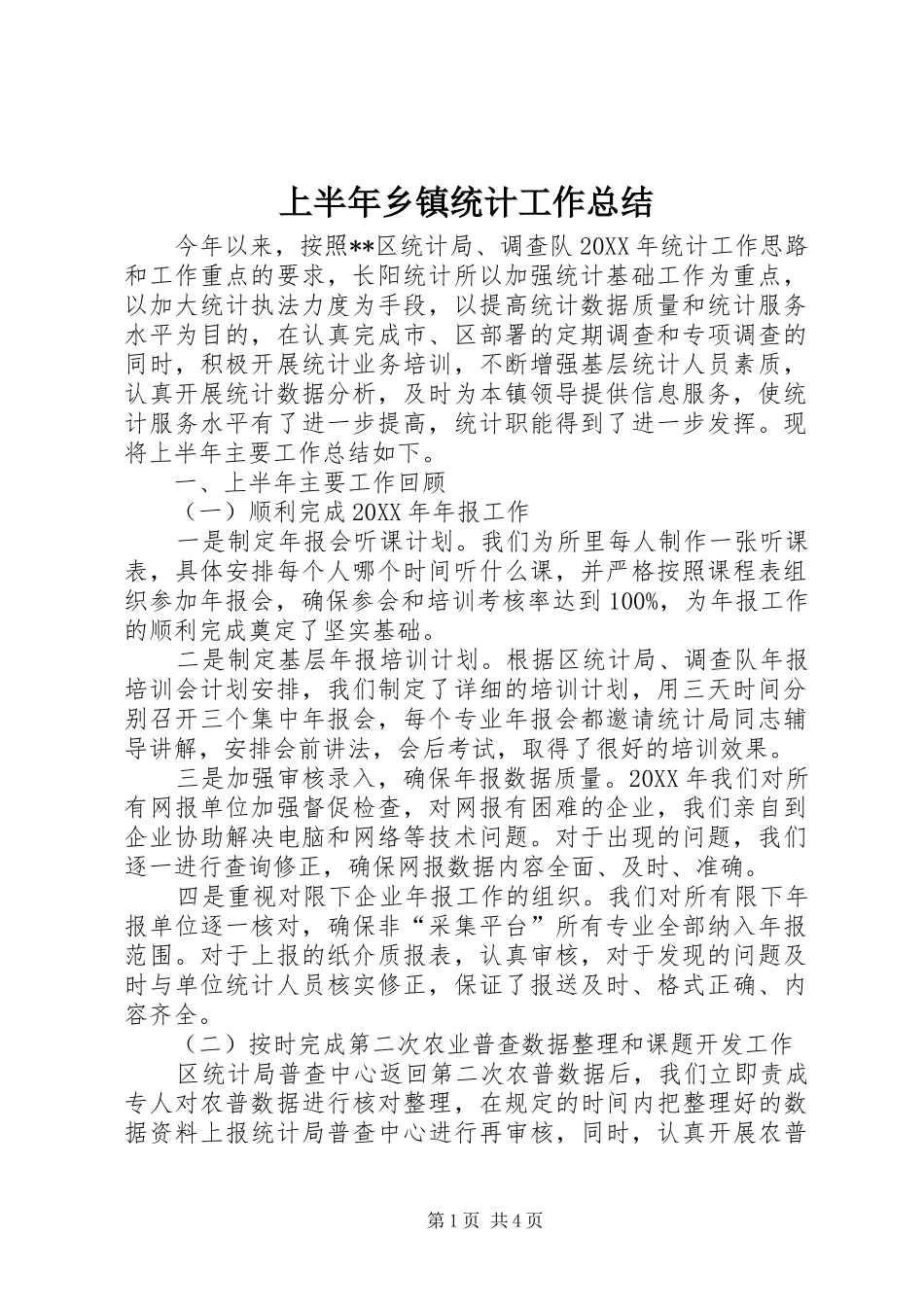 2024年上半年乡镇统计工作总结_第1页