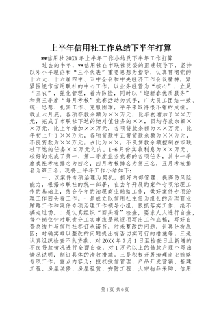 2024年上半年信用社工作总结下半年打算