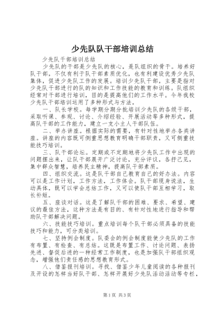 2024年少先队队干部培训总结