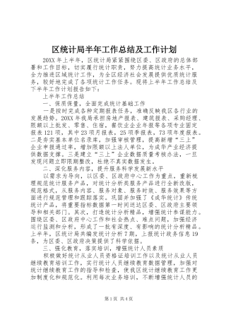 2024年区统计局半年工作总结及工作计划