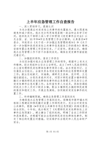 2024年上半年应急管理工作自查报告