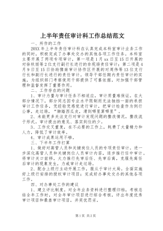 2024年上半年责任审计科工作总结范文