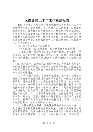 2024年区统计局上半年工作总结报告