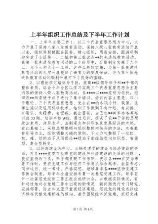 2024年上半年组织工作总结及下半年工作计划
