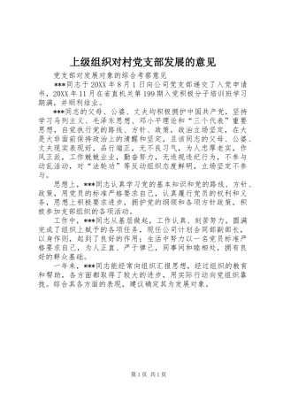 2024年上级组织对村党支部发展的意见