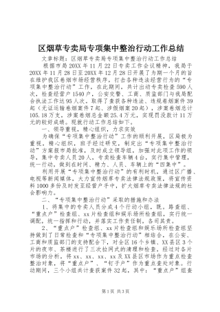 2024年区烟草专卖局专项集中整治行动工作总结