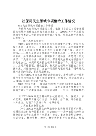 2024年社保局民生领域专项整治工作情况