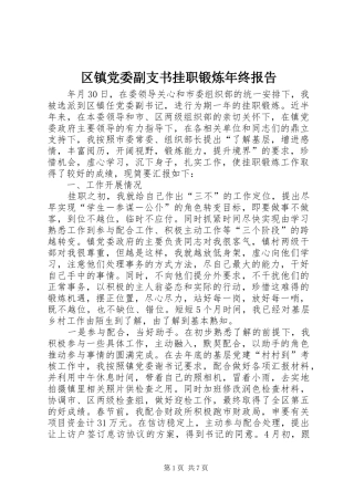 2024年区镇党委副支书挂职锻炼年终报告