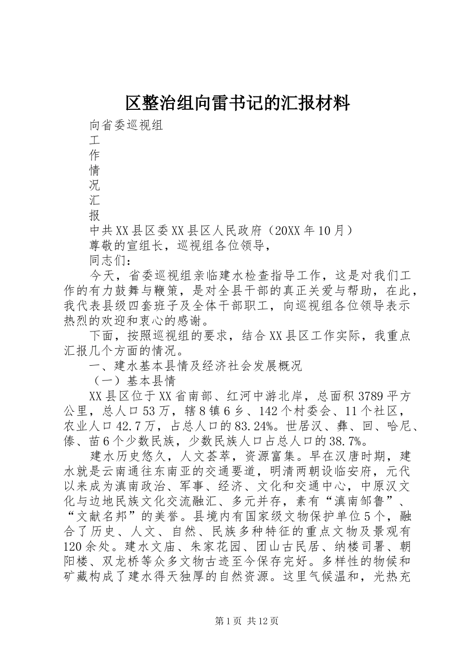 2024年区整治组向雷书记的汇报材料_第1页