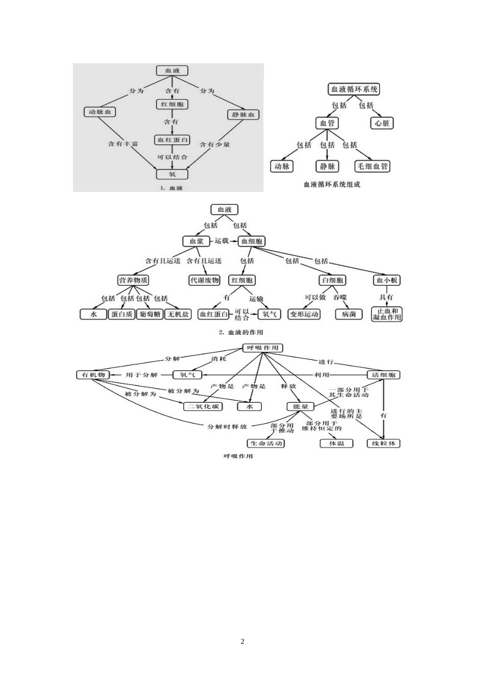 北师大生物七年级下册概念图(清晰版)_第2页