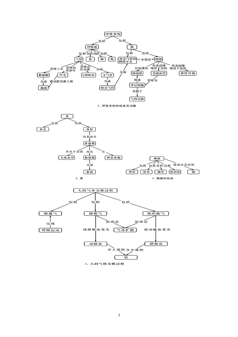 北师大生物七年级下册概念图(清晰版)_第3页