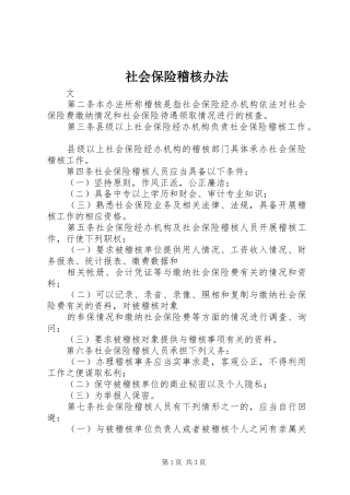 2024年社会保险稽核办法