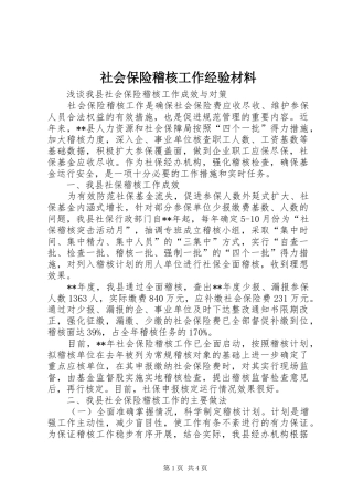 2024年社会保险稽核工作经验材料