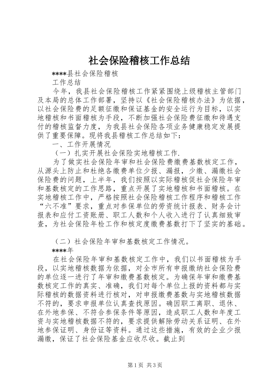 2024年社会保险稽核工作总结_第1页