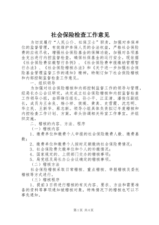 2024年社会保险检查工作意见