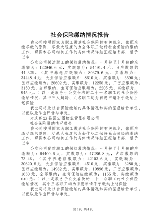 2024年社会保险缴纳情况报告