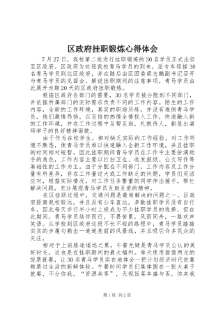 2024年区政府挂职锻炼心得体会