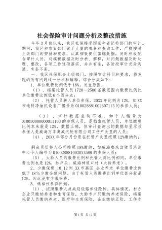 2024年社会保险审计问题分析及整改措施
