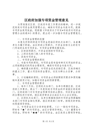 2024年区政府加强专项资金管理意见