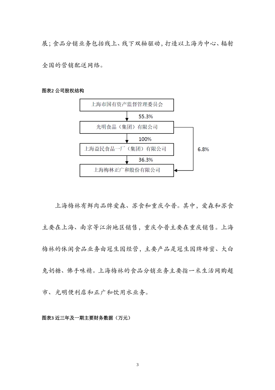 参与上海梅林非公开增发的可行性报告_第3页