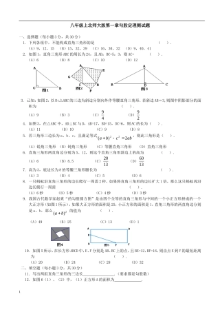 北师大版八年级数学上册第一章勾股定理测试题含答案