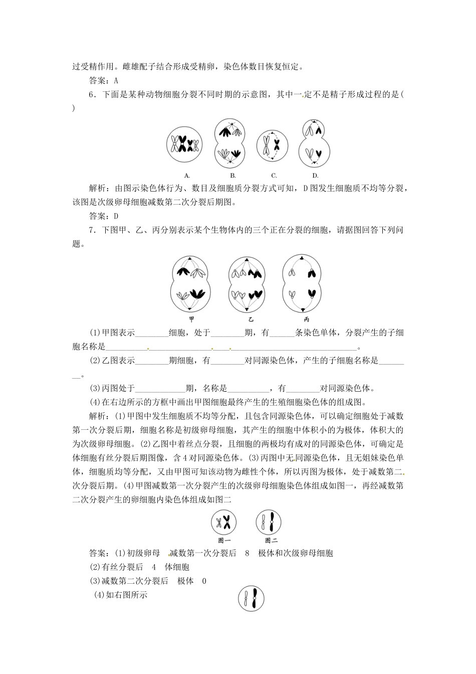 高中生物 第2章 第1节 减数分裂和受精作用课堂练 苏教版必修2_第2页