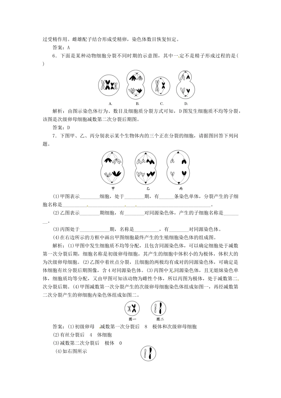 高中生物 第2章 第1节 减数分裂和受精作用课堂练 新人教版必修2_第2页