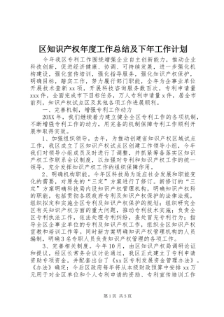 2024年区知识产权年度工作总结及下年工作计划