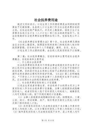 2024年社会抚养费用途