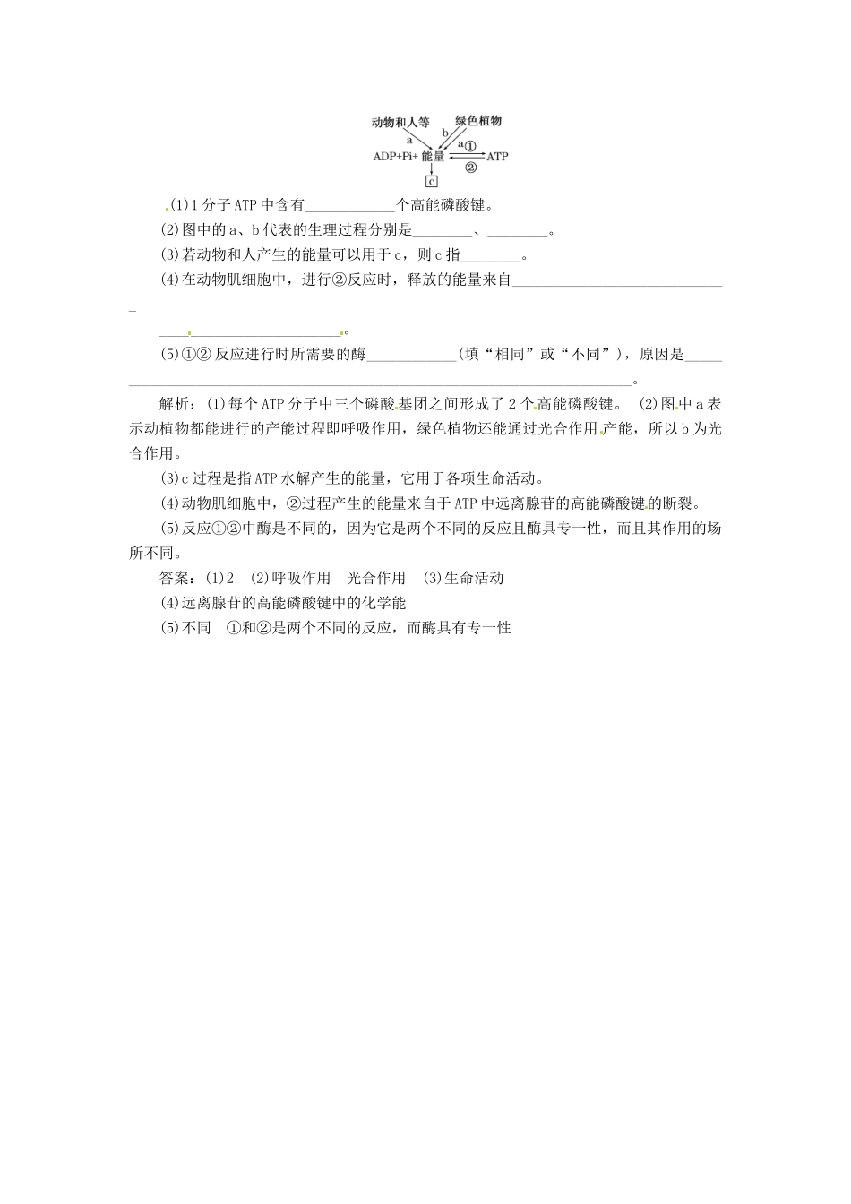 高中生物 第5章  第2节  细胞的能量“通货”ATP创新演练大冲关课堂练 新人教版必修1_第2页