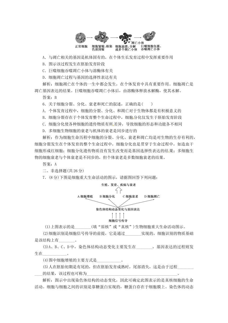 高中生物 第6章  第3节 细胞的衰老和凋亡创新演练大冲关 课下练 新人教版必修1_第2页