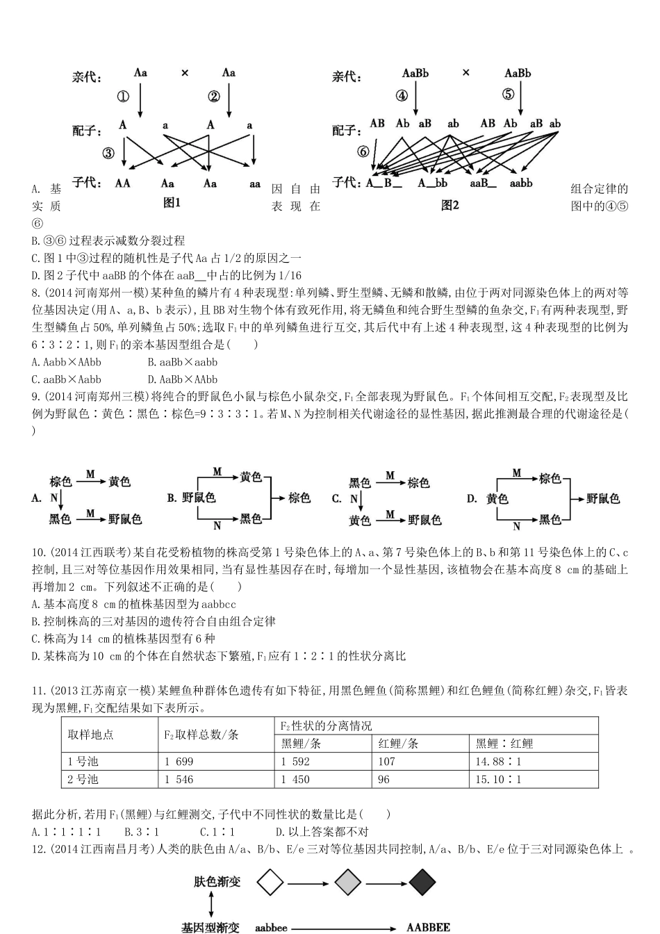 单元滚动检测(五)孟德尔定律和伴性遗传2_第2页