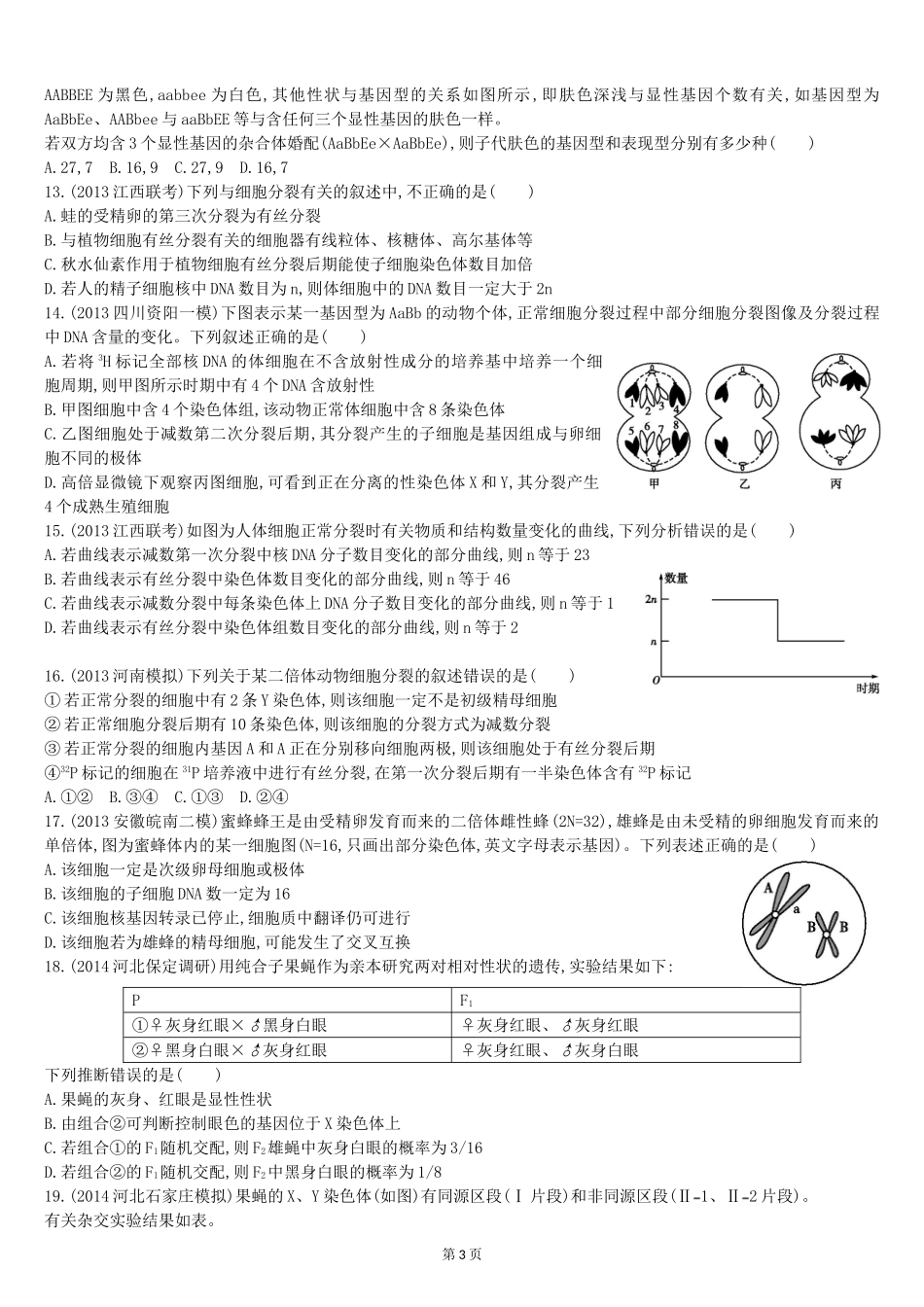单元滚动检测(五)孟德尔定律和伴性遗传2_第3页