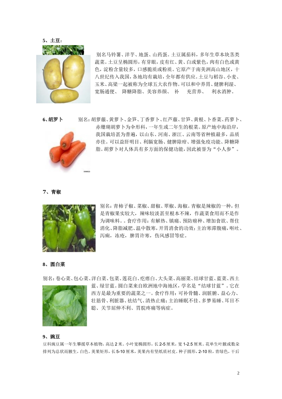 各种蔬菜介绍_第2页