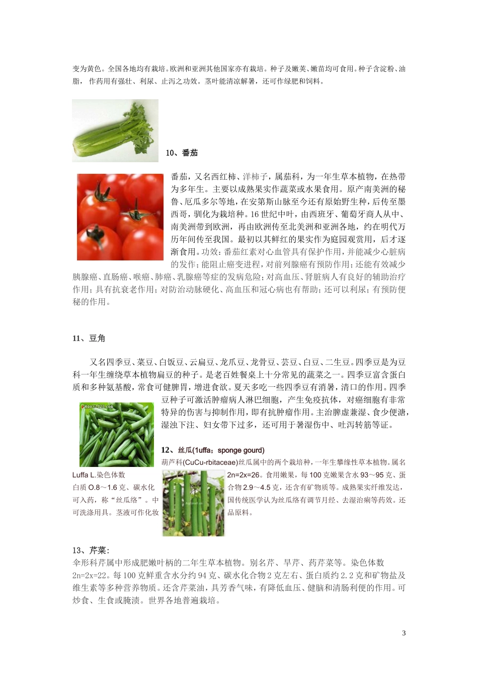 各种蔬菜介绍_第3页
