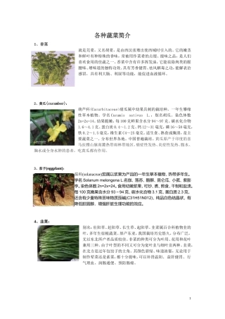 各种蔬菜介绍