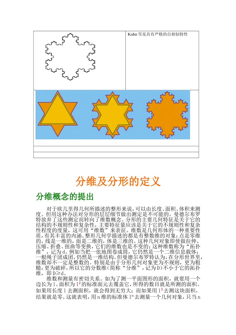 各种有趣的分形_第2页