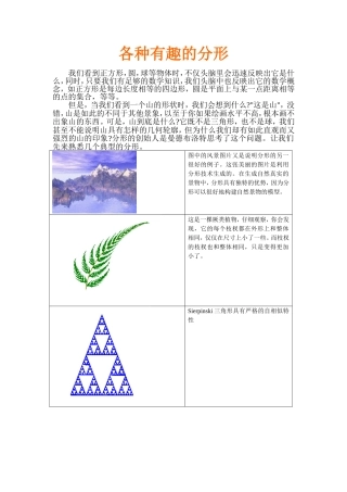各种有趣的分形