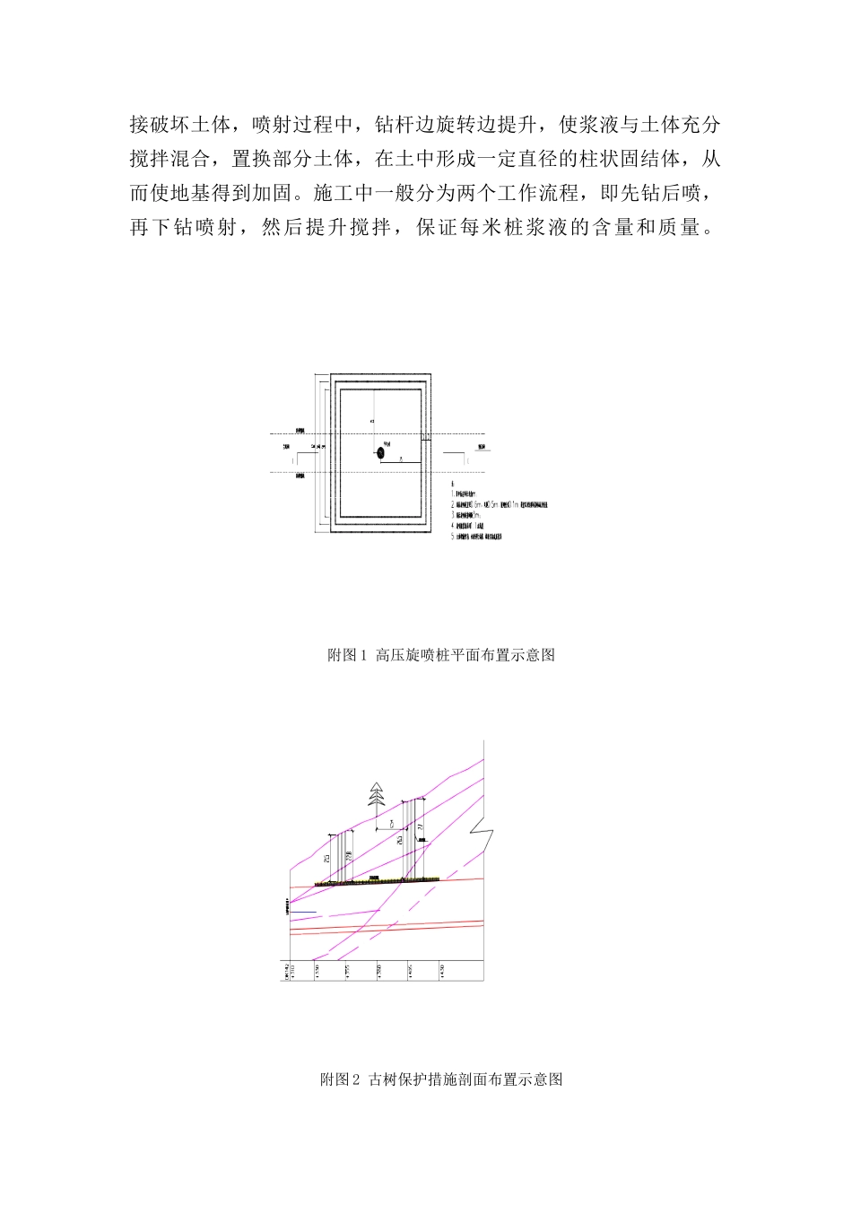 古树保护加固方案_第2页