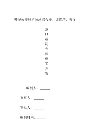 吊洞施工方案