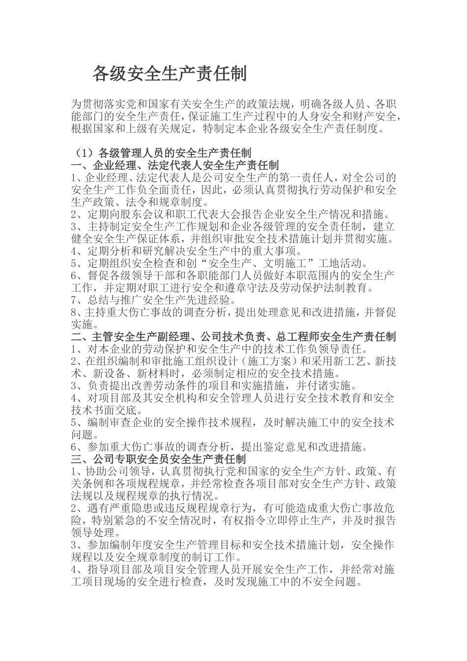 各级安全生产责任制(同名1686)_第2页