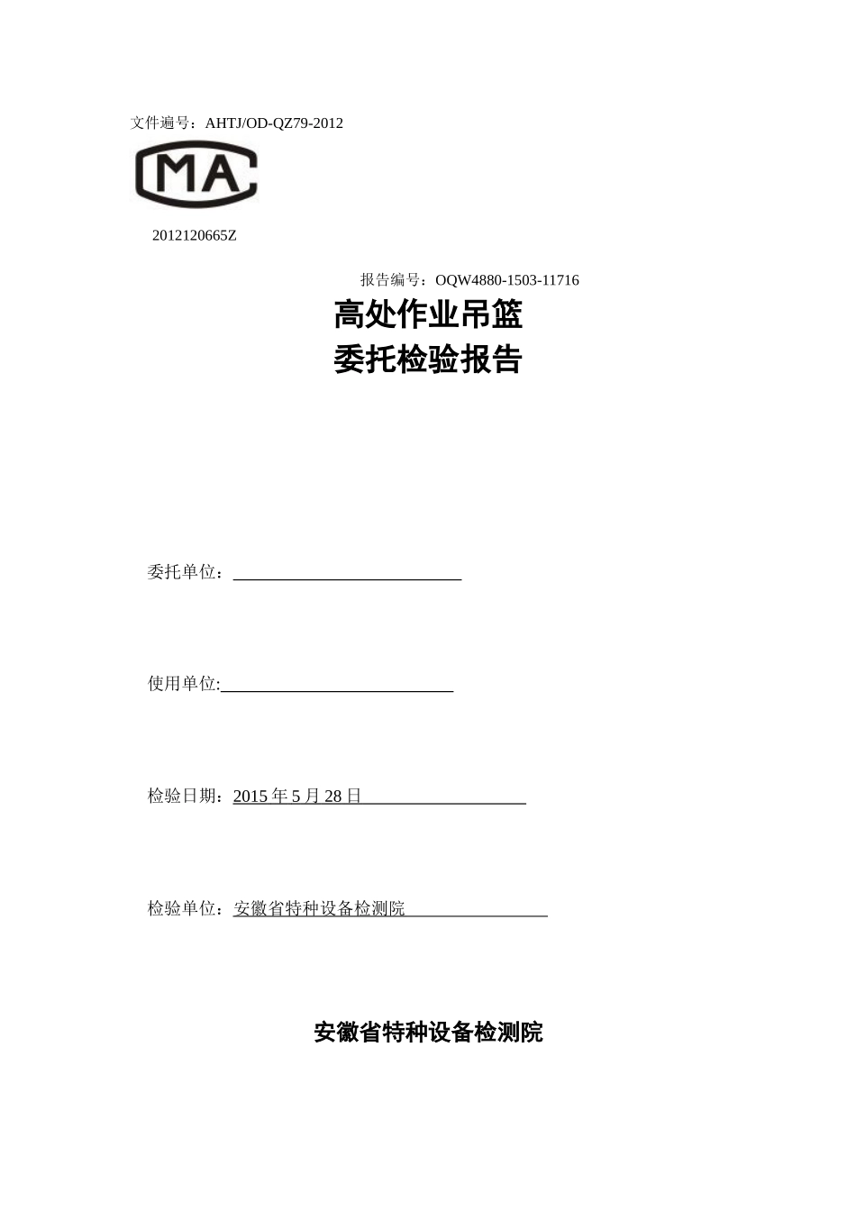 吊篮检验报告_第1页