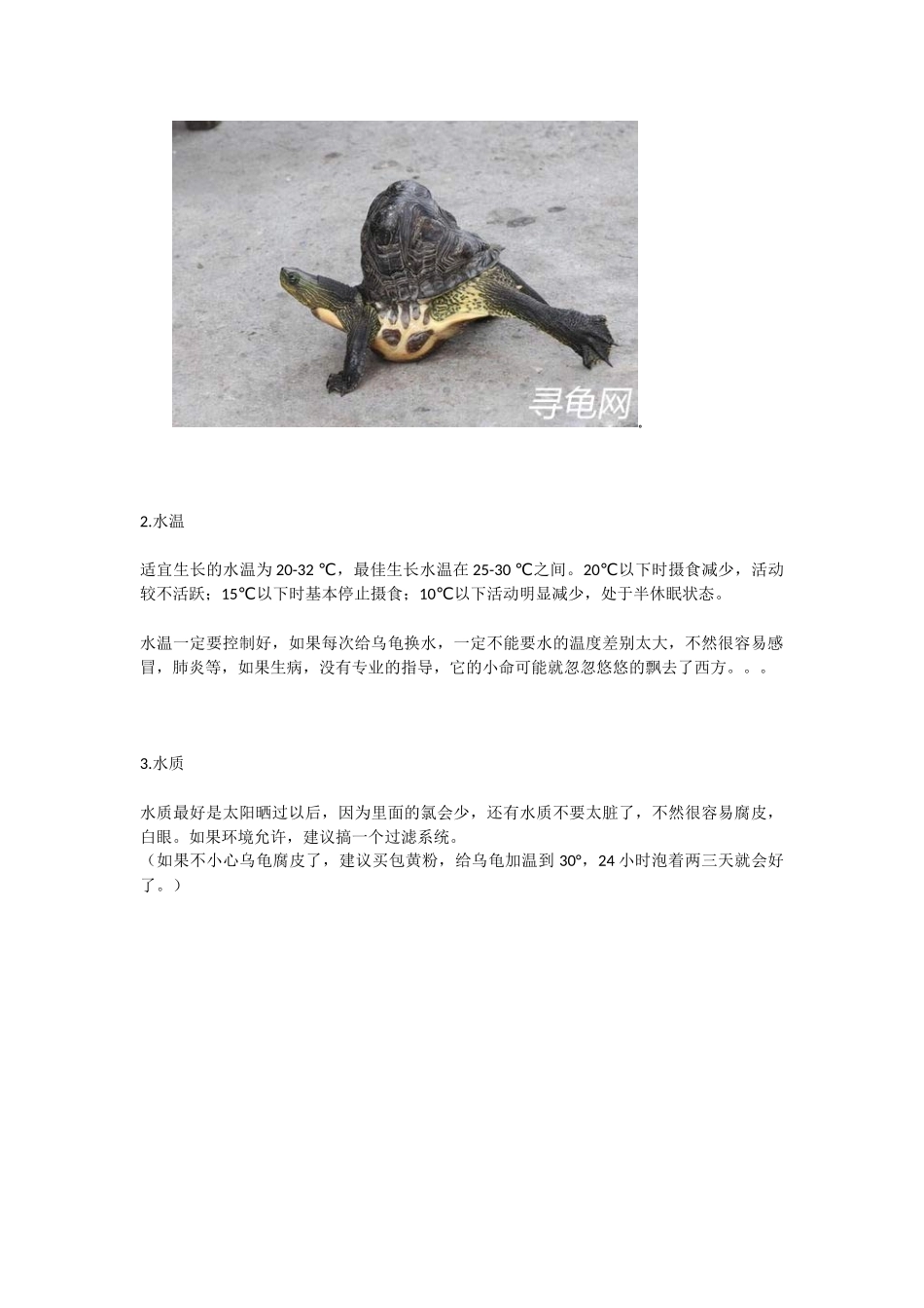 各类宠物乌龟的饲养方法_第2页