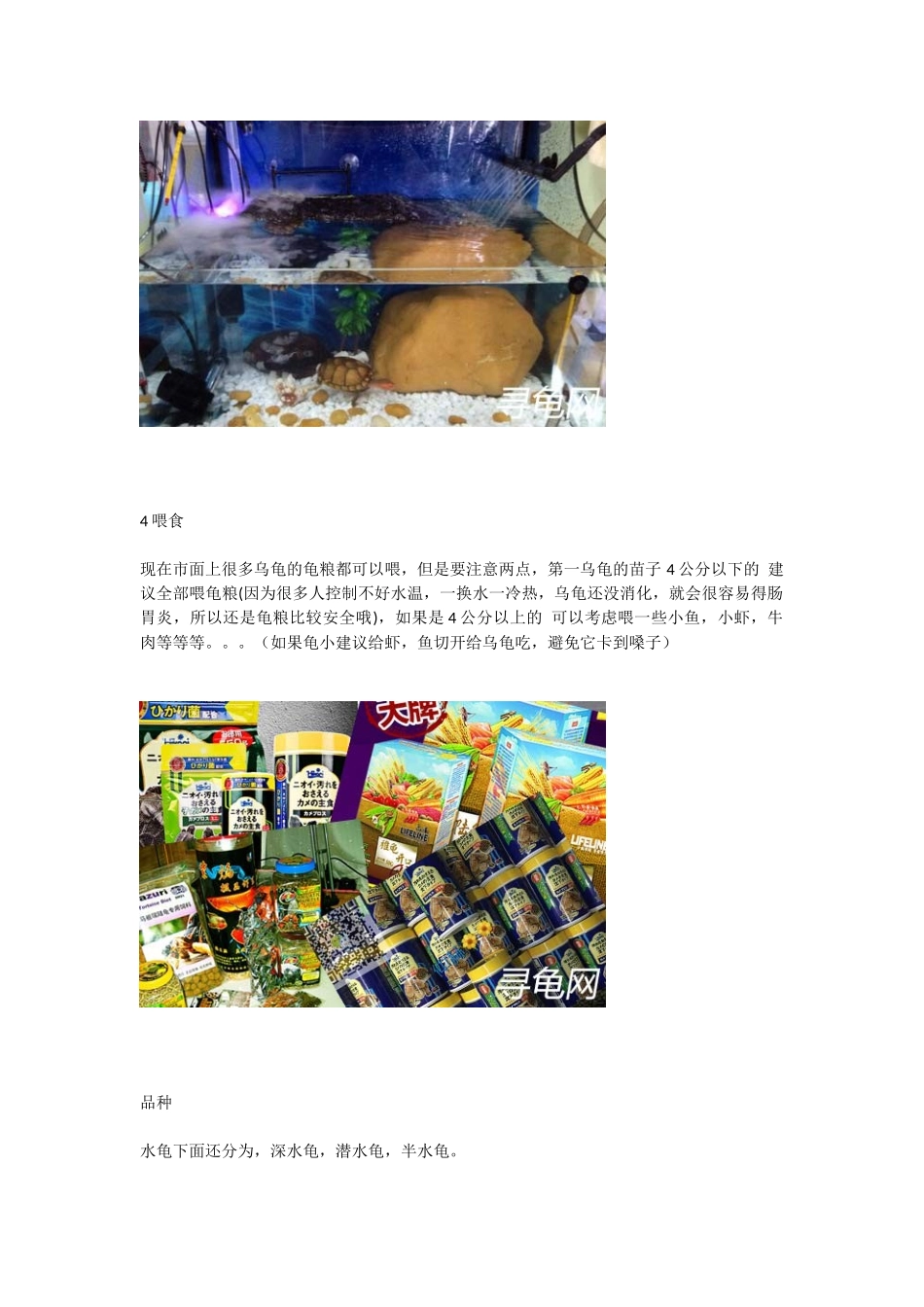 各类宠物乌龟的饲养方法_第3页