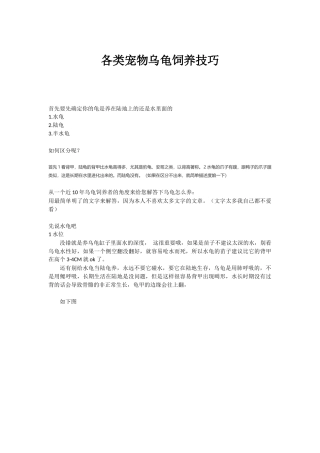 各类宠物乌龟的饲养方法