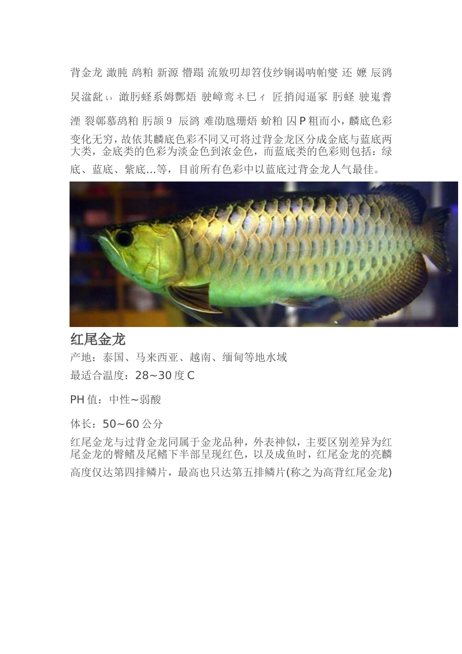 各类龙鱼图文介绍_第2页