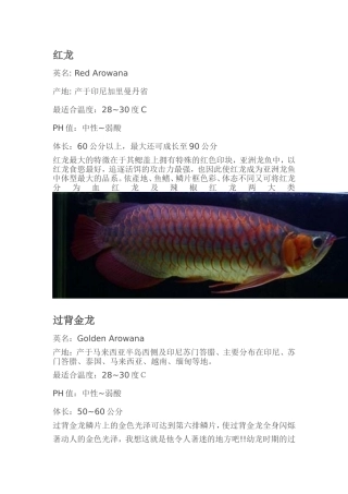 各类龙鱼图文介绍