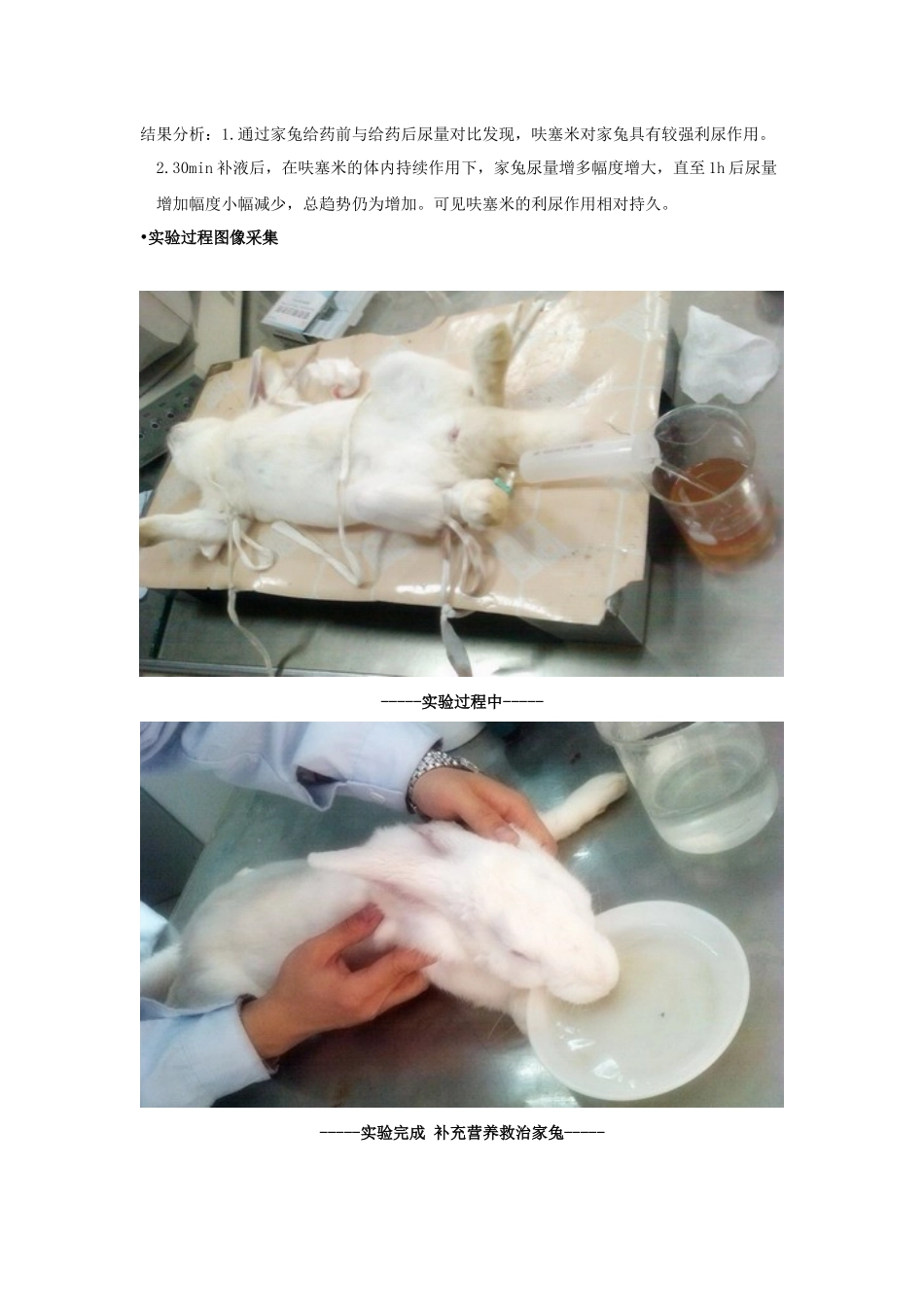 呋塞米对尿量的影响-实验设计_第3页