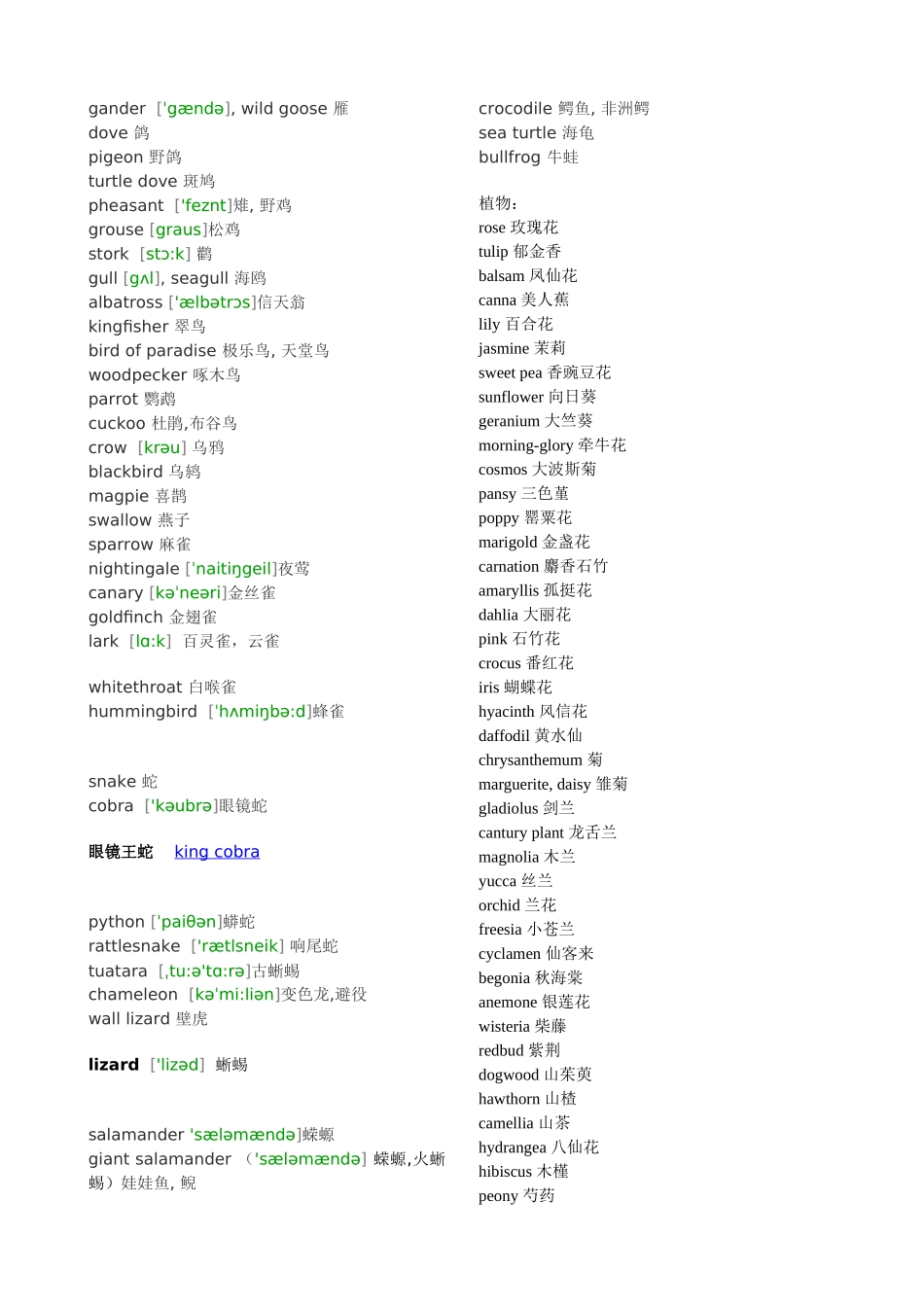 各种动物的英文名_第3页